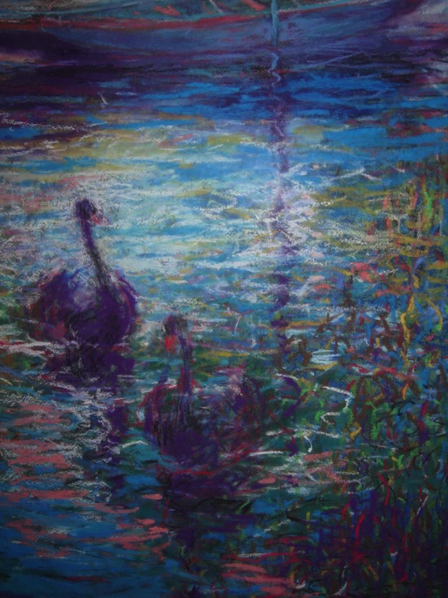 Black Swans Chateu de Tourreaux - pastel - 18 X 15 inches - SOLD