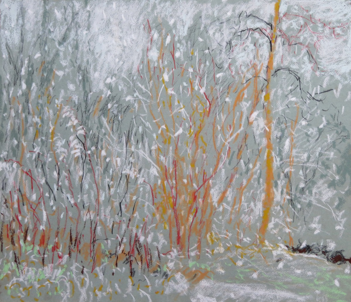 Willowherb, Hazel Trees and young Ash - Pastel 17.25 X 20 inches - Created 28th December 2020